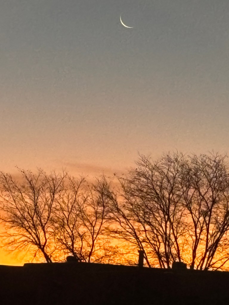 Sunrise in New Mexico. November 29, 2024, 6:23 AM.